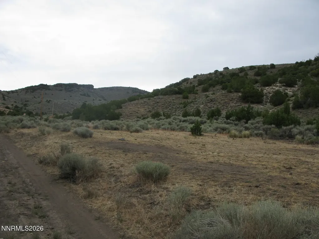 705 Pah Rah Springs Reno NV 89510