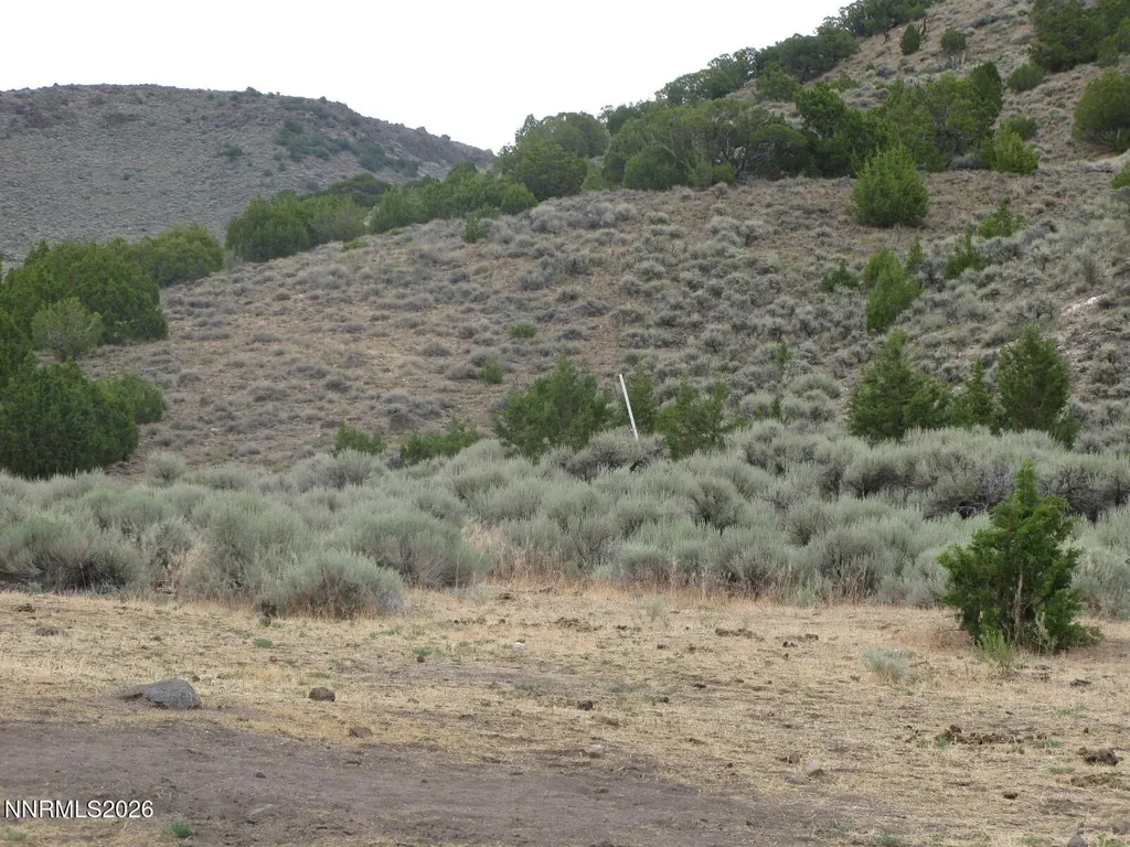 705 Pah Rah Springs Reno NV 89510