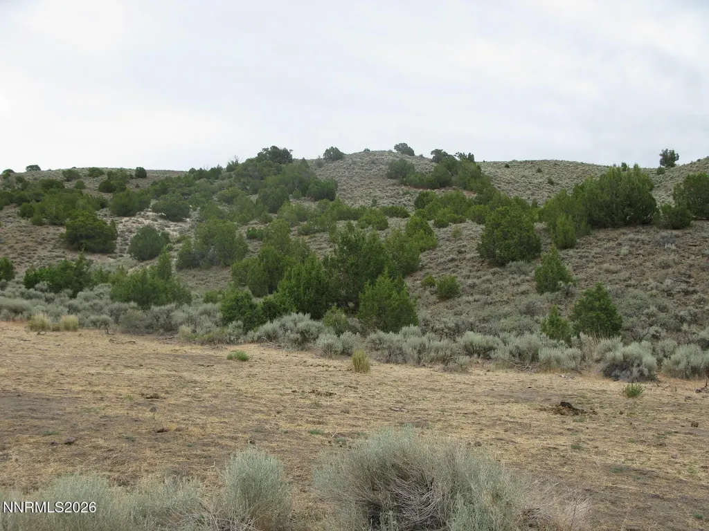 705 Pah Rah Springs Reno NV 89510