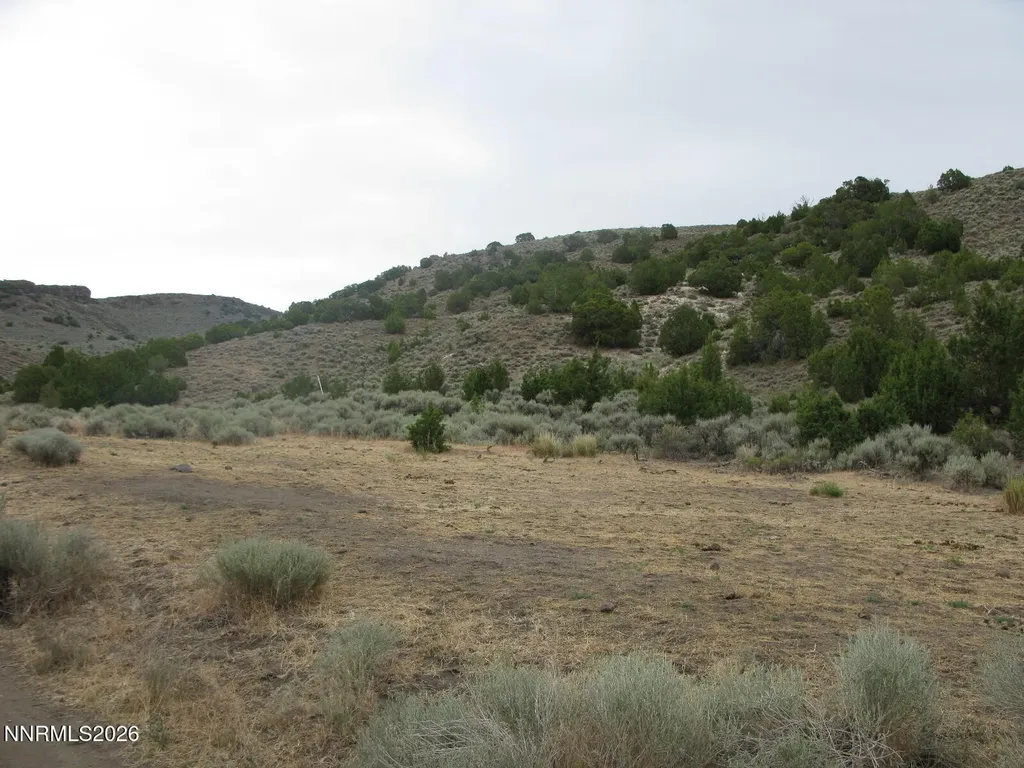 705 Pah Rah Springs Reno NV 89510