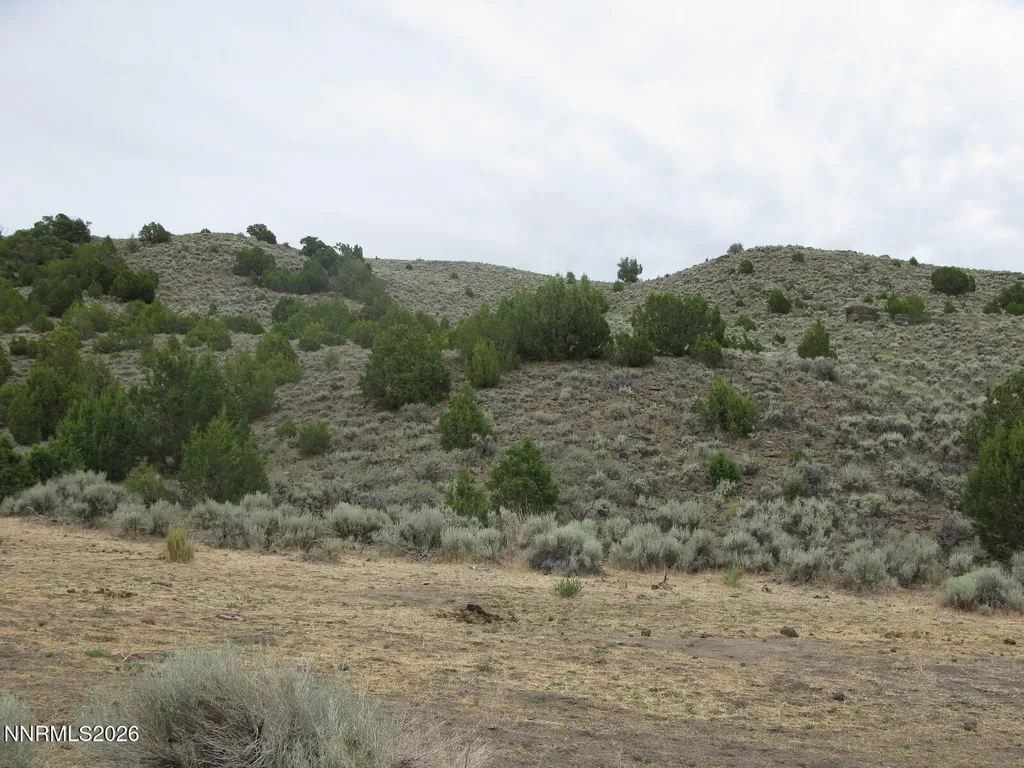 705 Pah Rah Springs Reno NV 89510