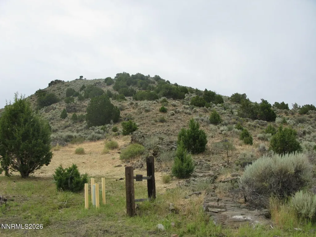 705 Pah Rah Springs Reno NV 89510