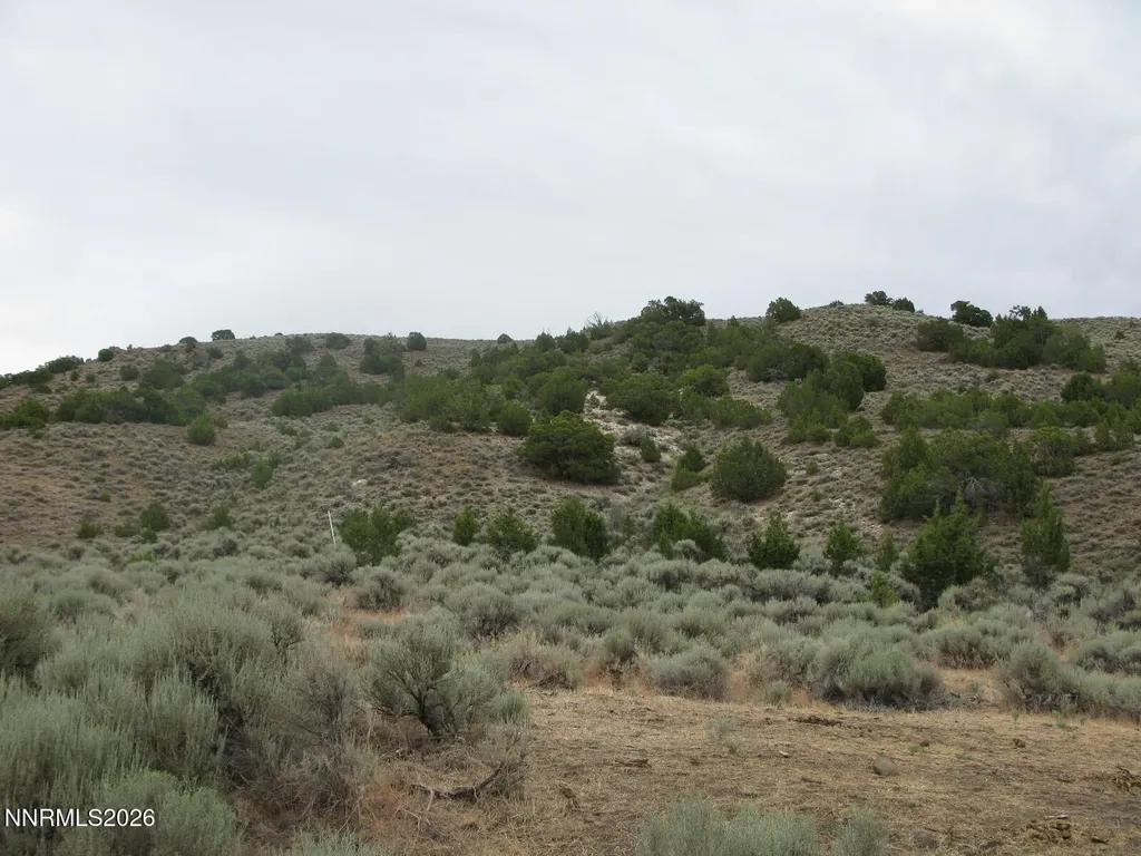 705 Pah Rah Springs Reno NV 89510