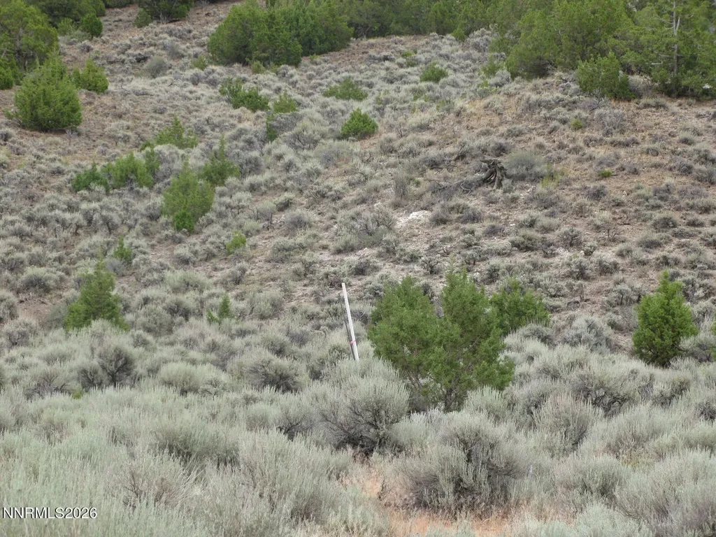 705 Pah Rah Springs Reno NV 89510