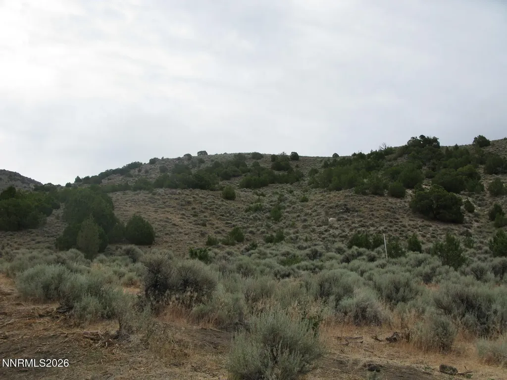 705 Pah Rah Springs Reno NV 89510