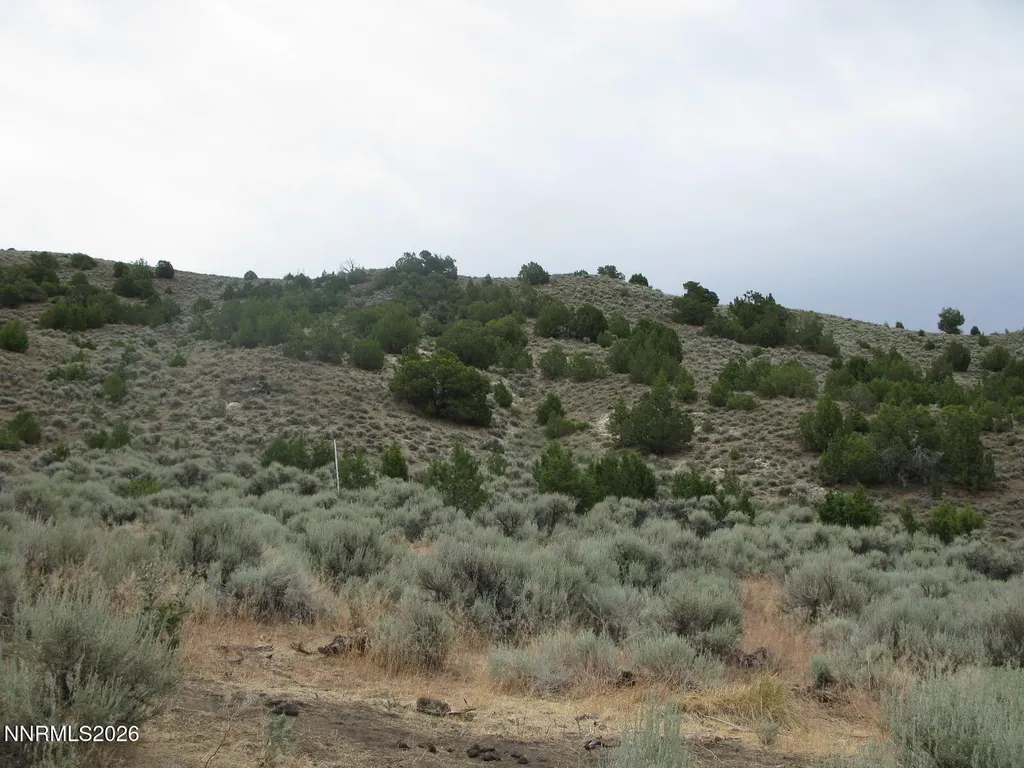 705 Pah Rah Springs Reno NV 89510
