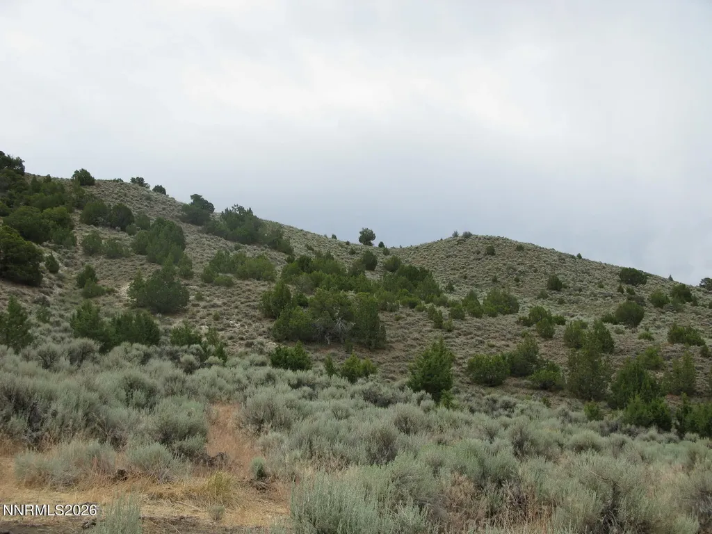 705 Pah Rah Springs Reno NV 89510