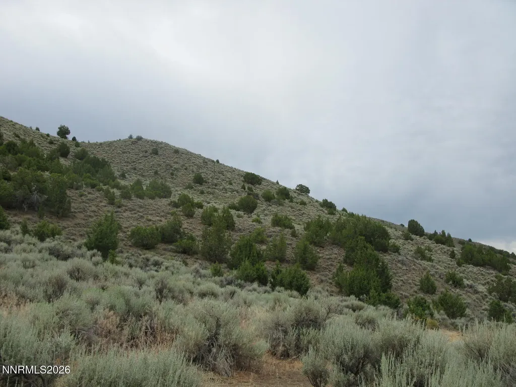 705 Pah Rah Springs Reno NV 89510