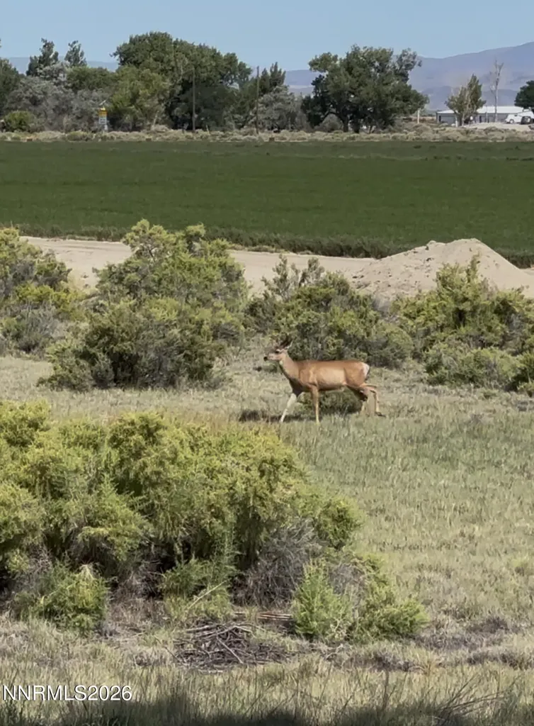 2195 Old River Fallon NV 89406