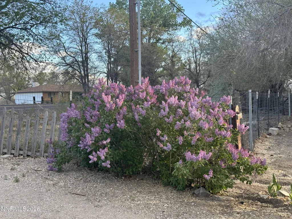 2195 Old River Fallon NV 89406