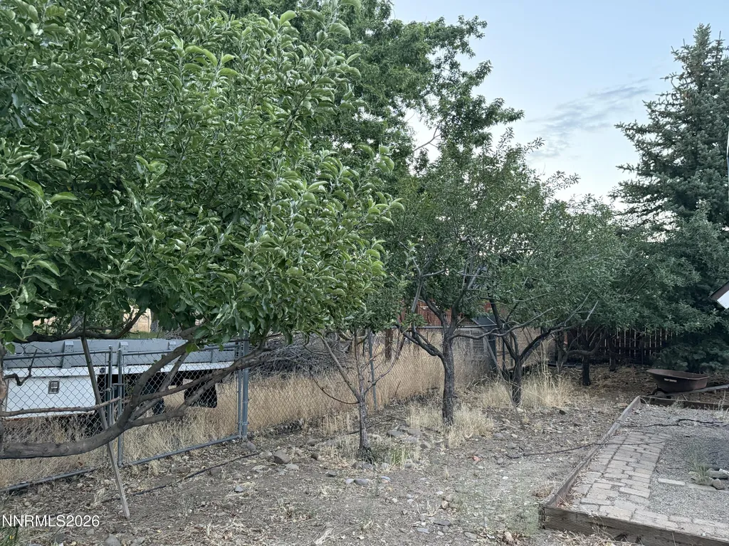 1438 Topaz Gardnerville NV 89460