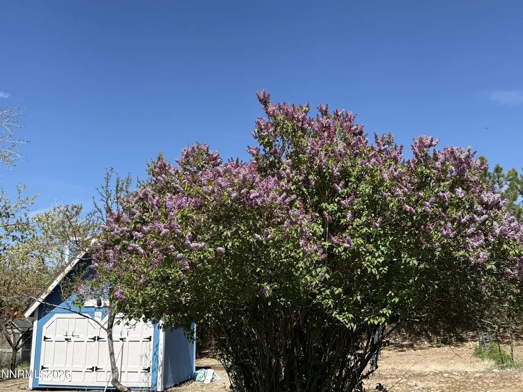 1438 Topaz Gardnerville NV 89460
