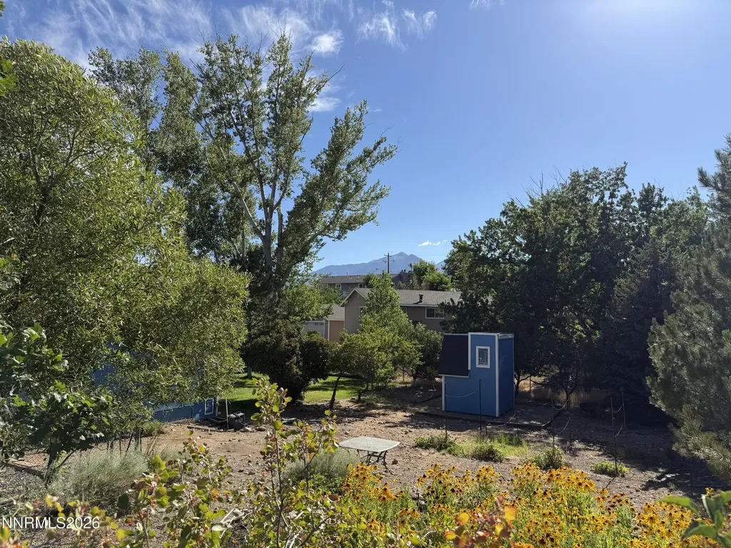 1438 Topaz Gardnerville NV 89460