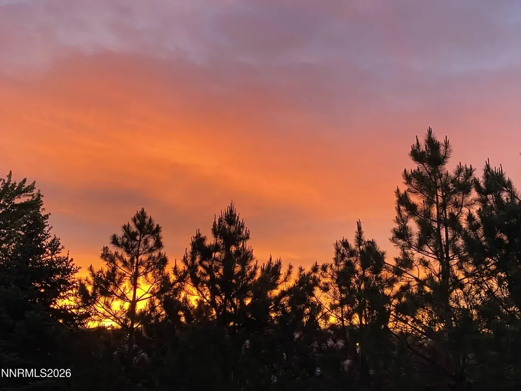 1438 Topaz Gardnerville NV 89460