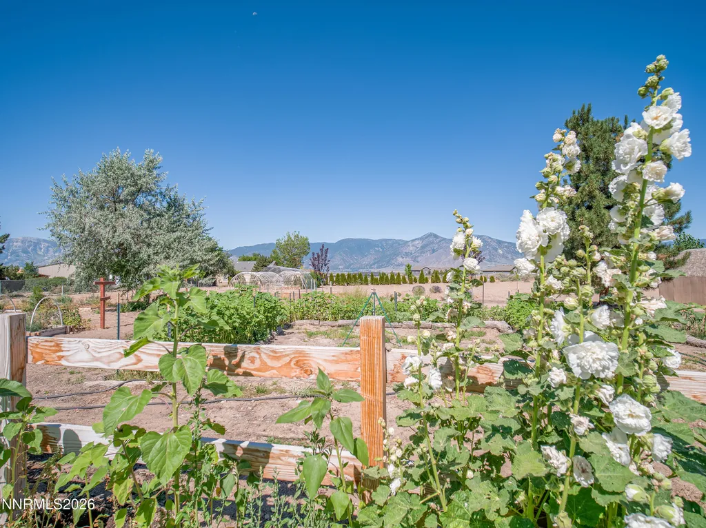 2556 Henning Minden NV 89423