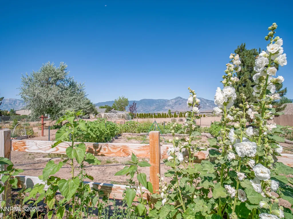 2556 Henning Minden NV 89423