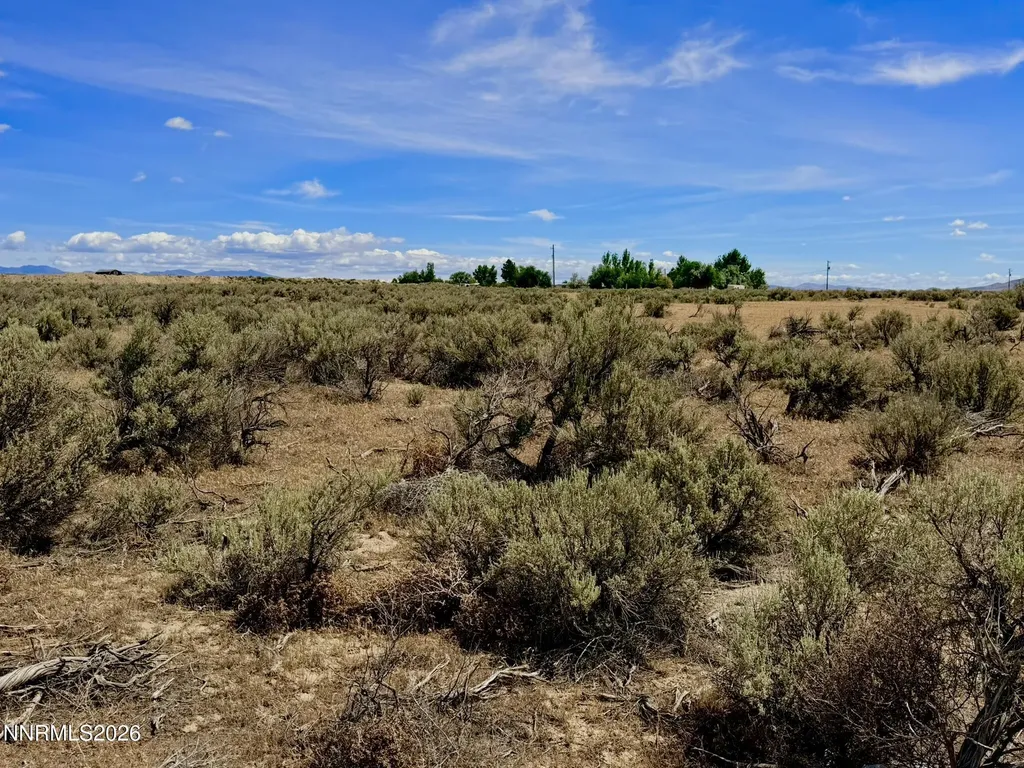 006-043-08 Springfield Winnemucca NV 89445