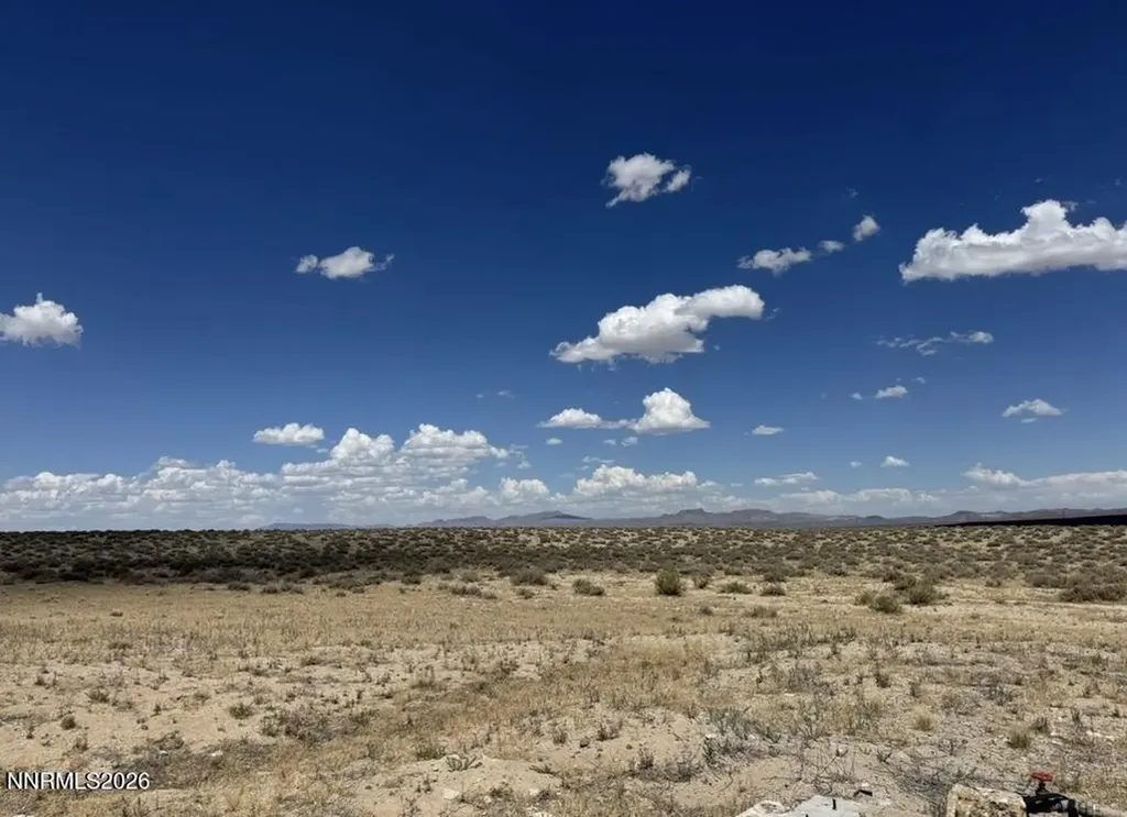 30651 Sagehen Creek Fallon NV 89406