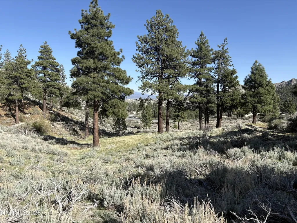 5000 Highway 50 Carson City NV 89705