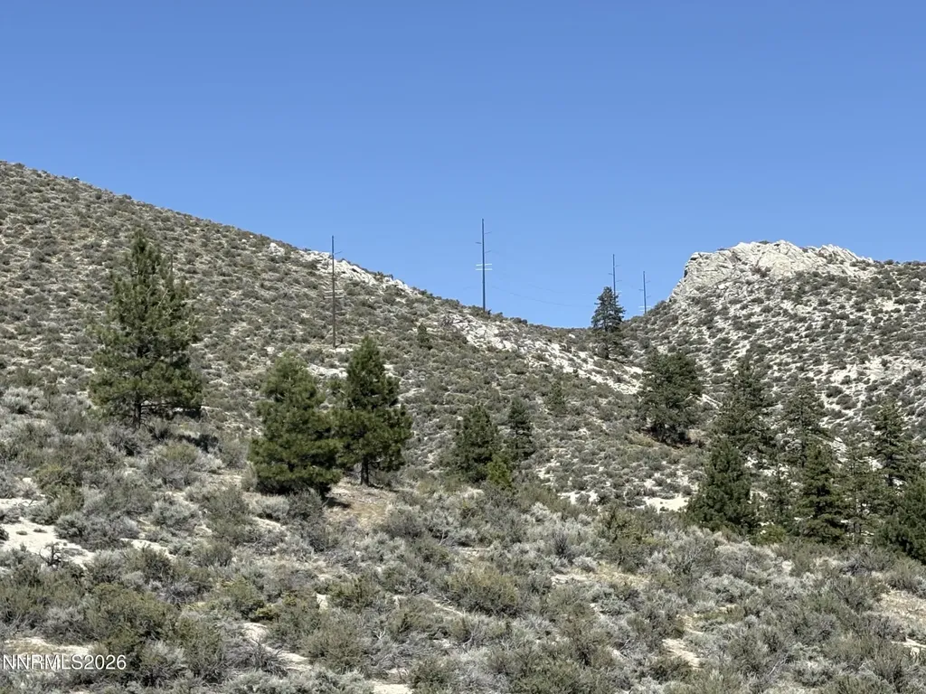 5000 Highway 50 Carson City NV 89705