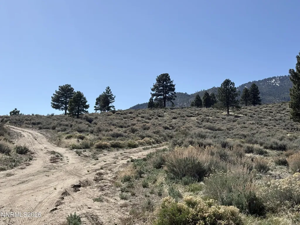 5000 Highway 50 Carson City NV 89705