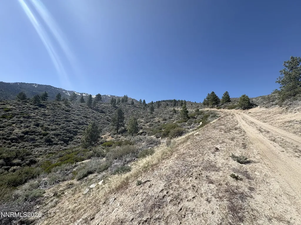 5000 Highway 50 Carson City NV 89705