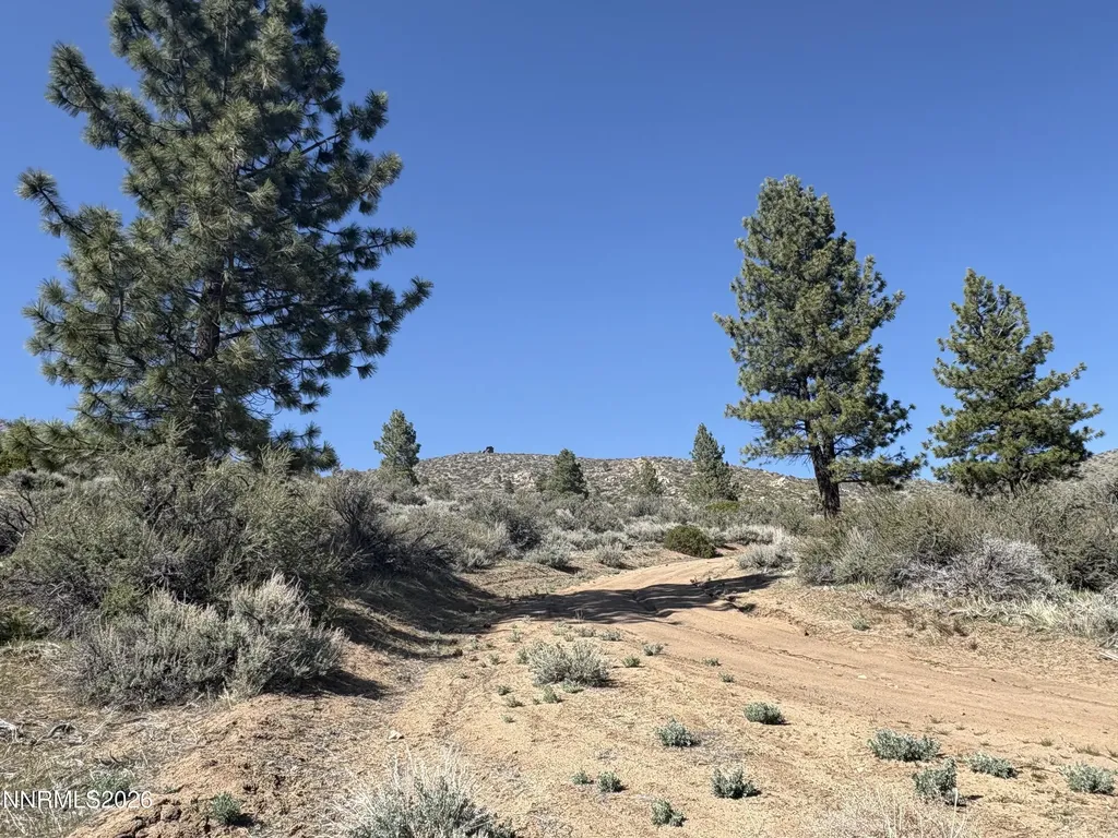 5000 Highway 50 Carson City NV 89705