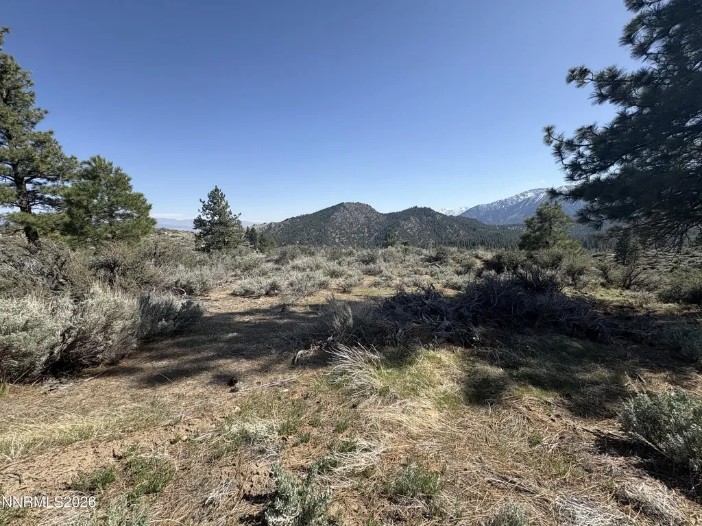 5000 Highway 50 Carson City NV 89705