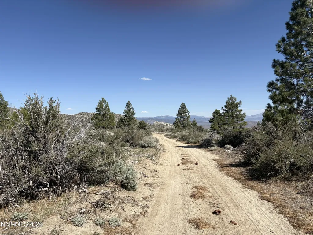 5000 Highway 50 Carson City NV 89705