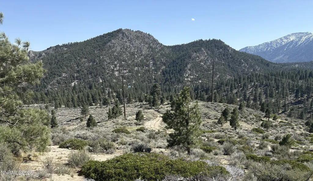 5000 Highway 50 Carson City NV 89705