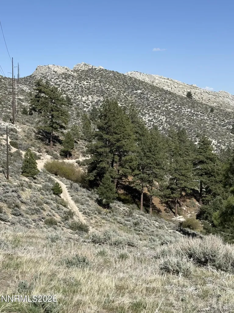 5000 Highway 50 Carson City NV 89705