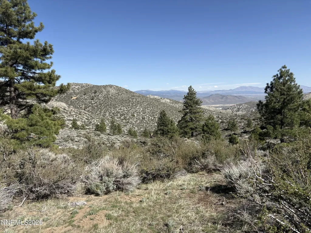 5000 Highway 50 Carson City NV 89705
