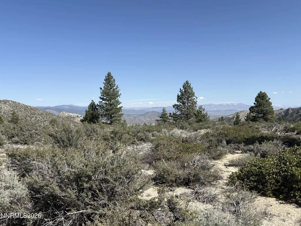 5000 Highway 50 Carson City NV 89705