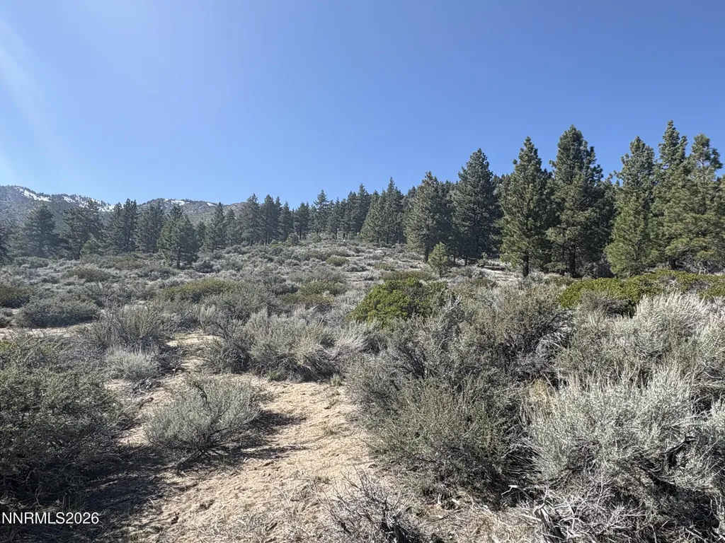 5000 Highway 50 Carson City NV 89705