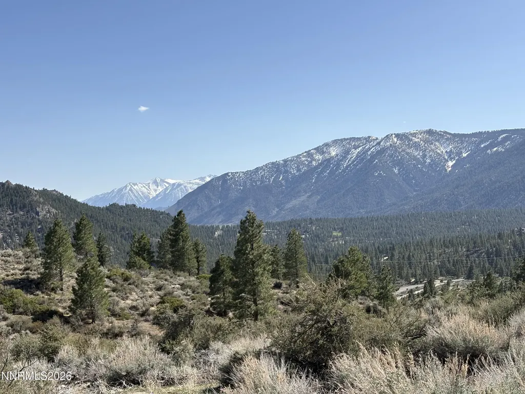 5000 Highway 50 Carson City NV 89705