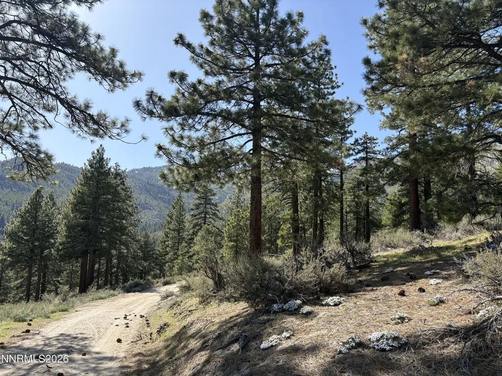 5000 Highway 50 Carson City NV 89705