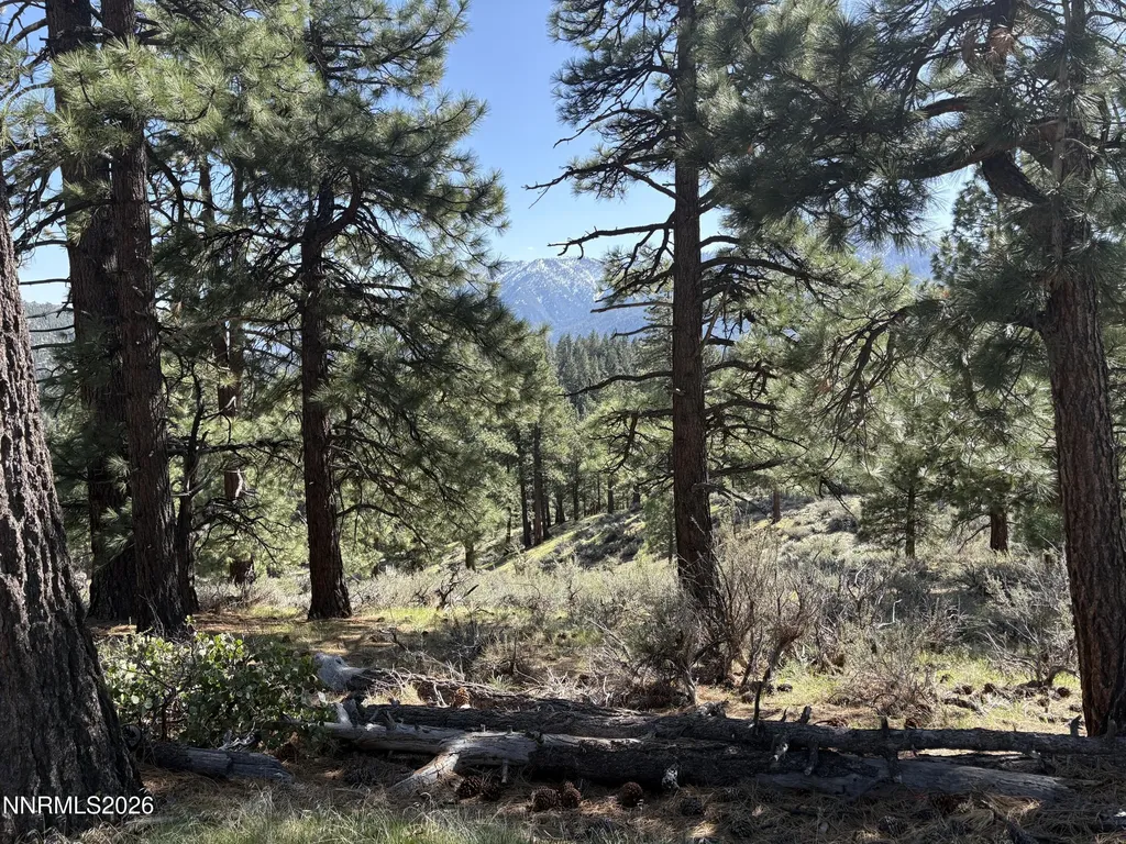 5000 Highway 50 Carson City NV 89705