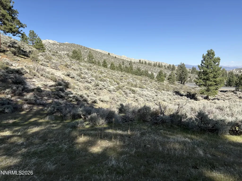 5000 Highway 50 Carson City NV 89705