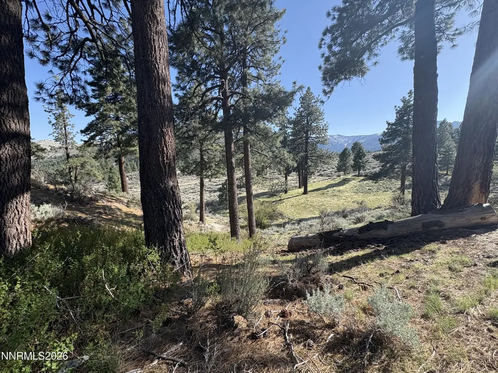 5000 Highway 50 Carson City NV 89705
