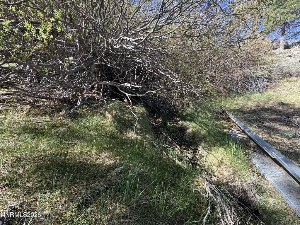 5000 Highway 50 Carson City NV 89705