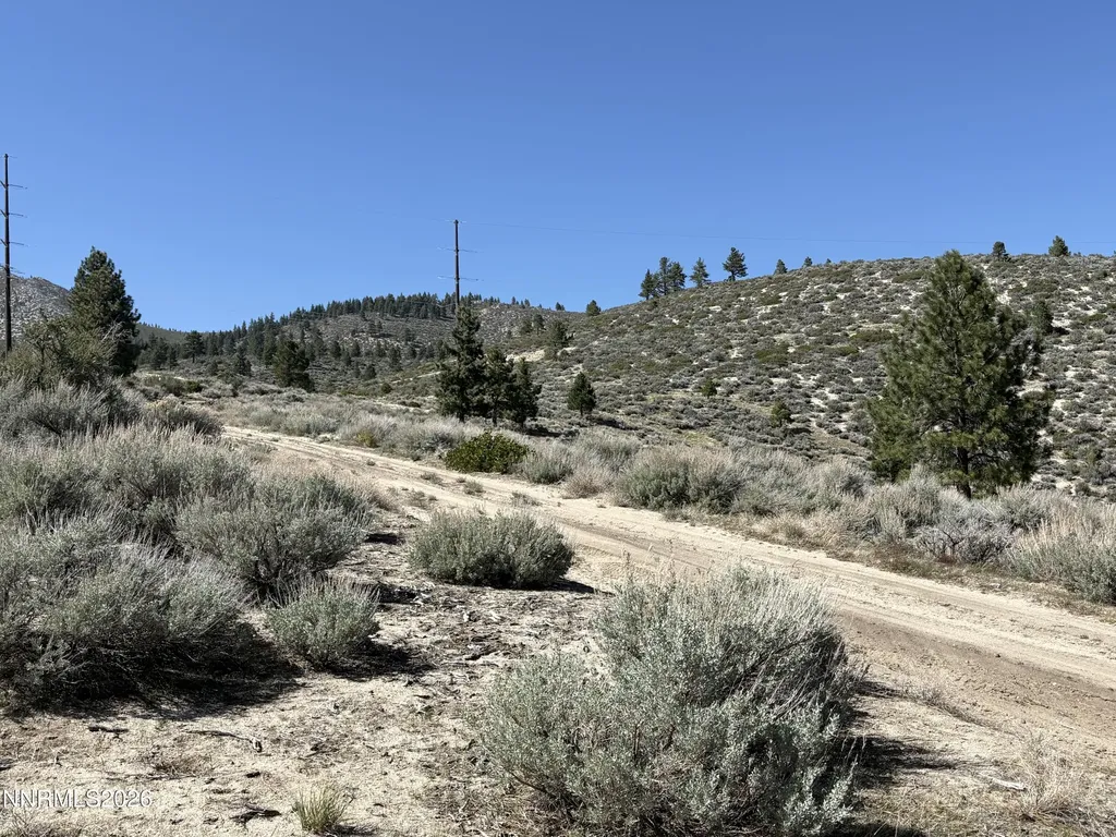 5000 Highway 50 Carson City NV 89705