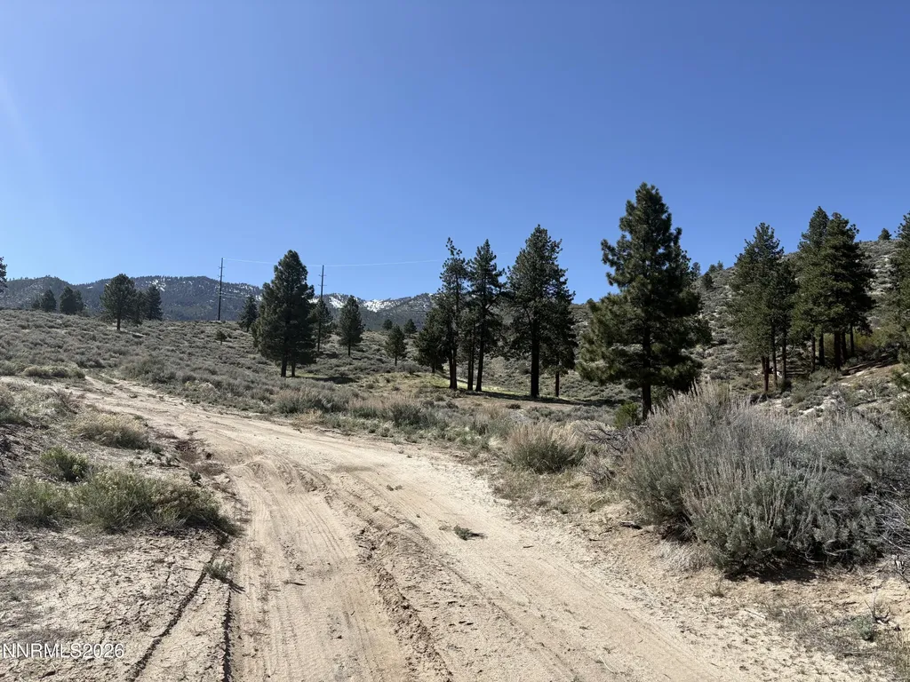 5000 Highway 50 Carson City NV 89705