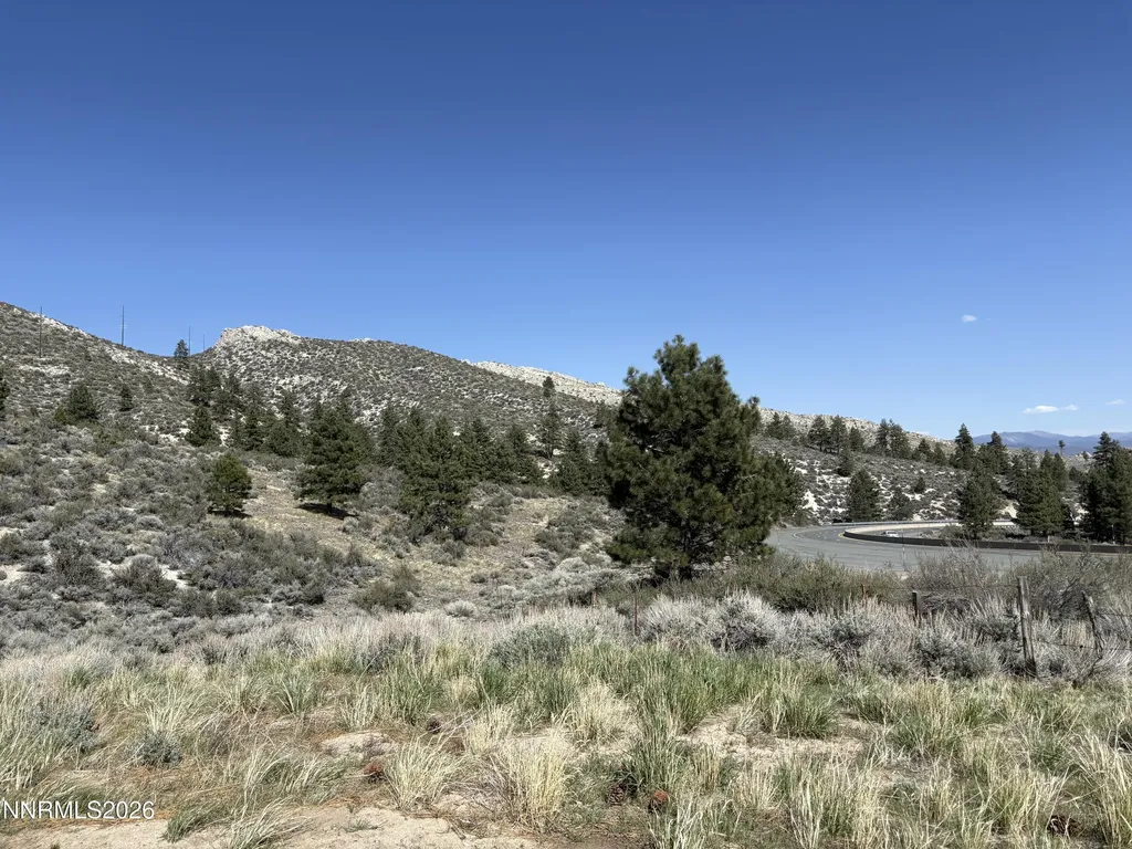 5000 Highway 50 Carson City NV 89705