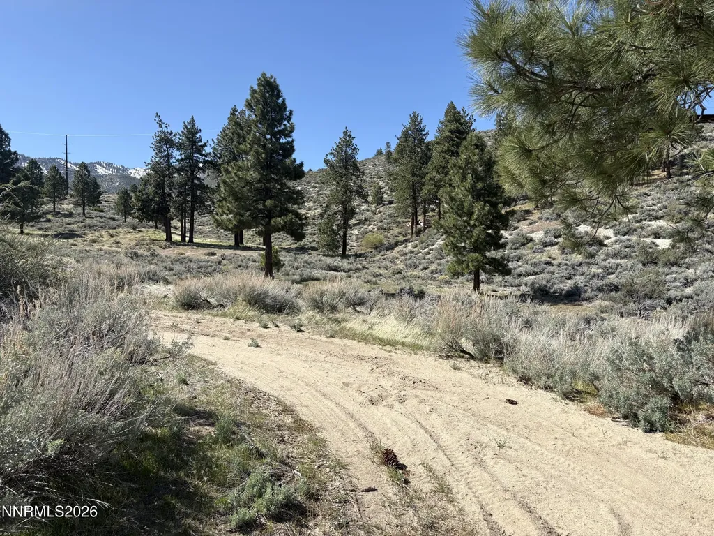 5000 Highway 50 Carson City NV 89705