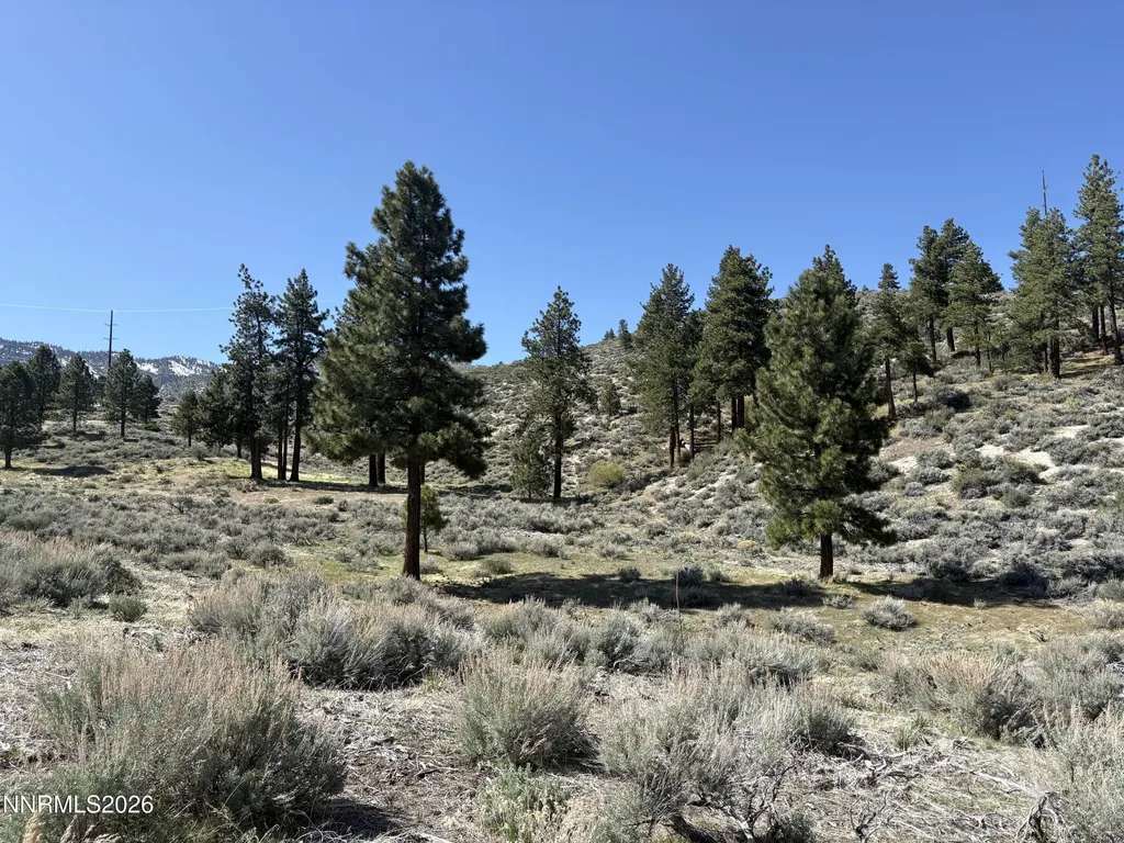 5000 Highway 50 Carson City NV 89705
