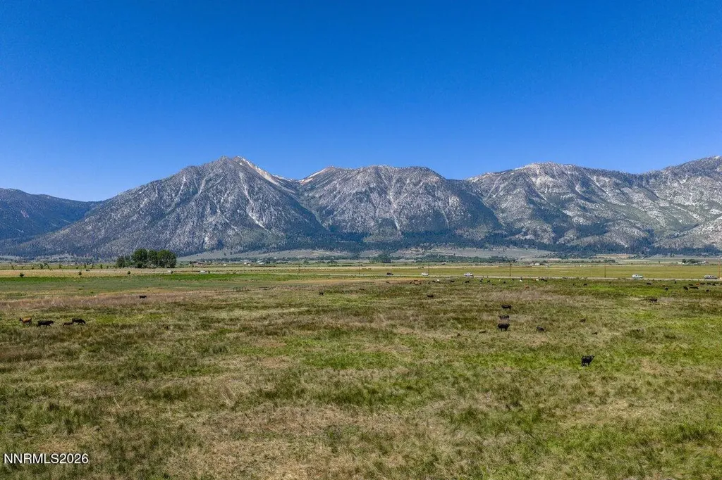 1195 Nevada 88 Gardnerville NV 89460