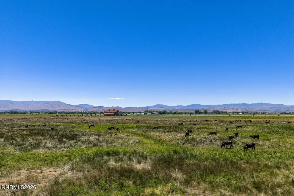 1195 Nevada 88 Gardnerville NV 89460