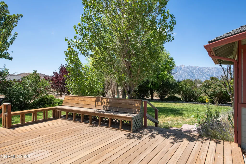 1917 Arabian Gardnerville NV 89410