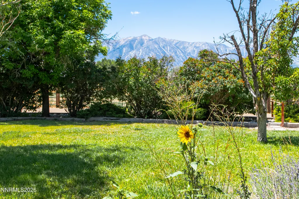 1917 Arabian Gardnerville NV 89410