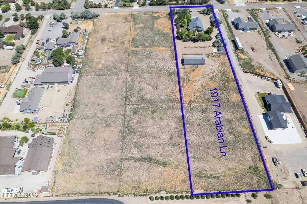 1917 Arabian Gardnerville NV 89410